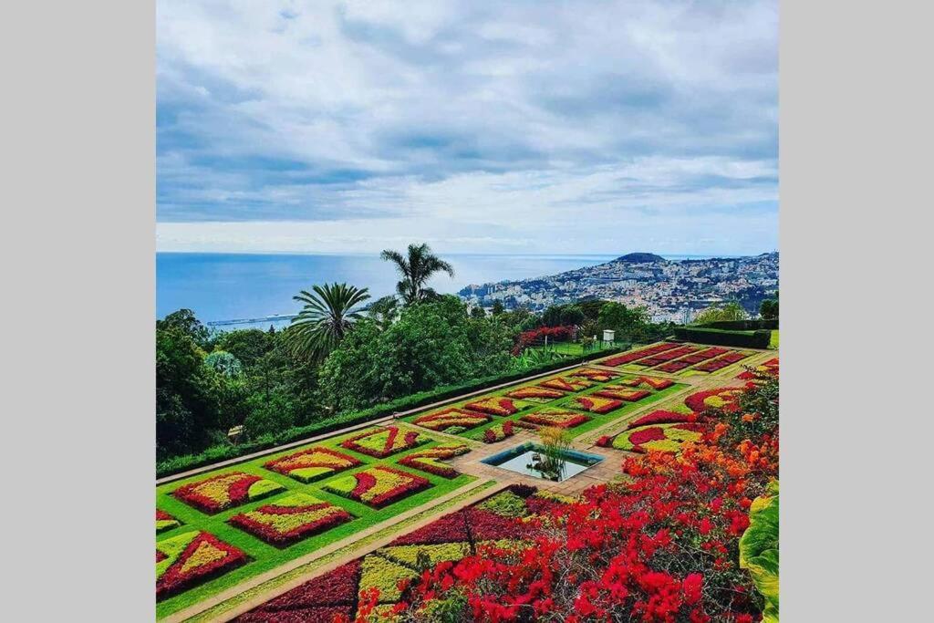 Funchal Center Apartment II Εξωτερικό φωτογραφία